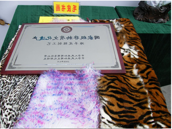 全球十大外围足球平台