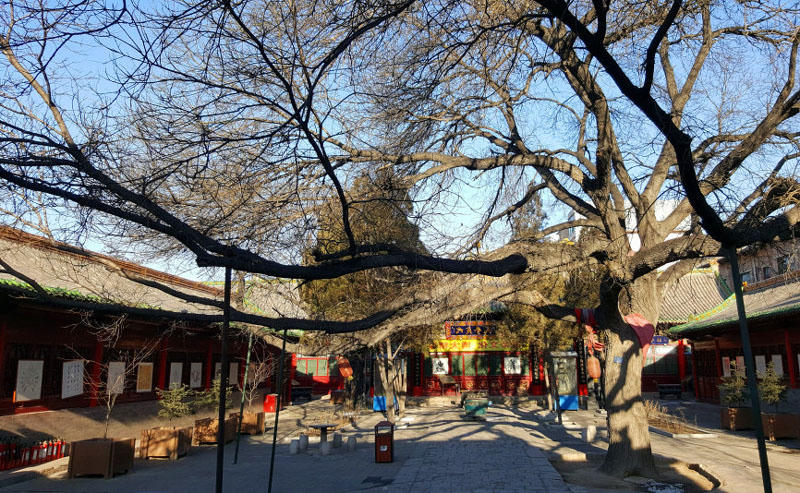 全球十大外围足球平台