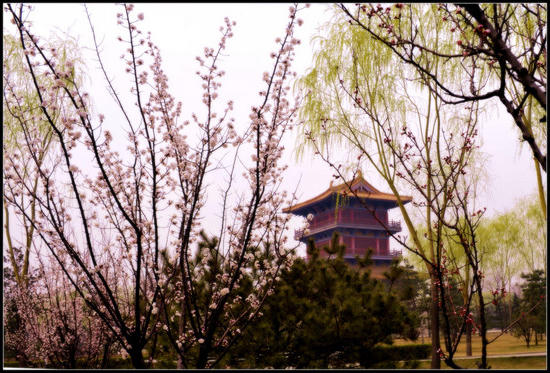 全球十大外围足球平台